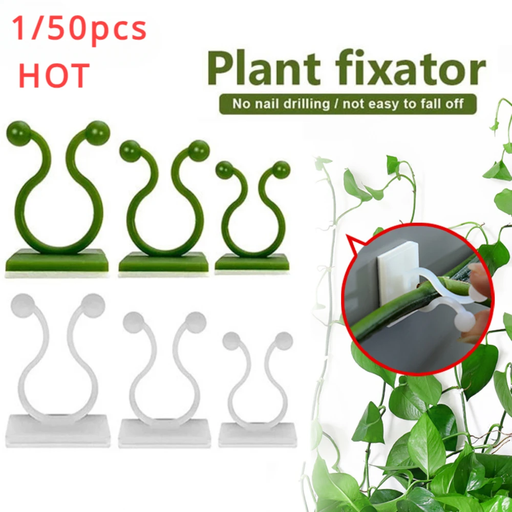 Vine Climbing Plastic - 1/30/50 ชิ้นสําหรับอุปกรณ์สวนพืชสวนหม้อ & Planters ปีนกําแพงกลางแจ้ง Decors