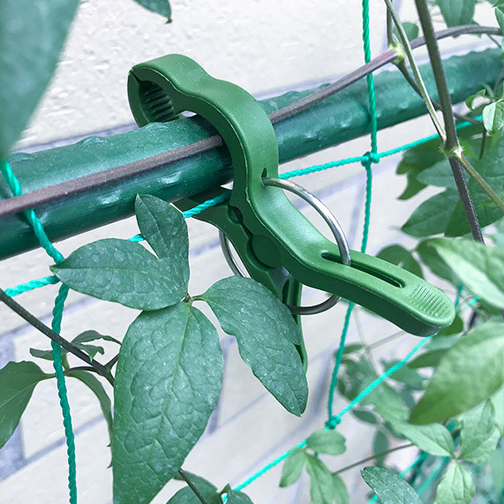 Vine Climbing Plastic - คลิปหนีบต้นไม้ในสวน 60 ชิ้น คลิปพลาสติกสำหรับพยุงต้นไม้ ใช้กับมะเขือเทศ องุ่น