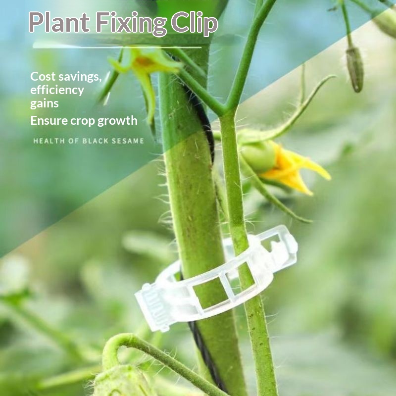 Vine Climbing Plastic - คลิปพลาสติกสำหรับยึดต้นไม้ ใช้ซ้ำได้ สำหรับยึดเถาวัลย์มะเขือเทศ ผัก และพืชเลื้อยในสวน