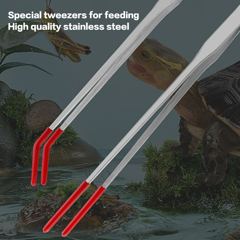 เครื่องมือบำรุงรักษาตู้ปลาสแตน - Feeding Tong Stainless บทวิจารณ์และราคา