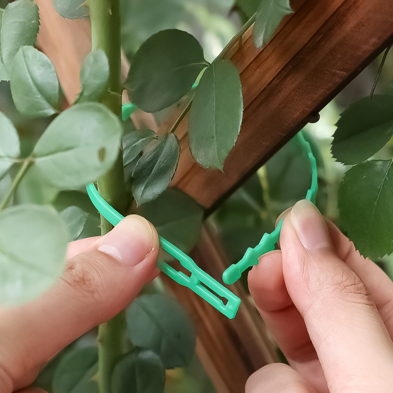 สายรัดต้นไม้แบบปรับได้สำหรับขา - Vine Climbing Plastic บทวิจารณ์และราคา