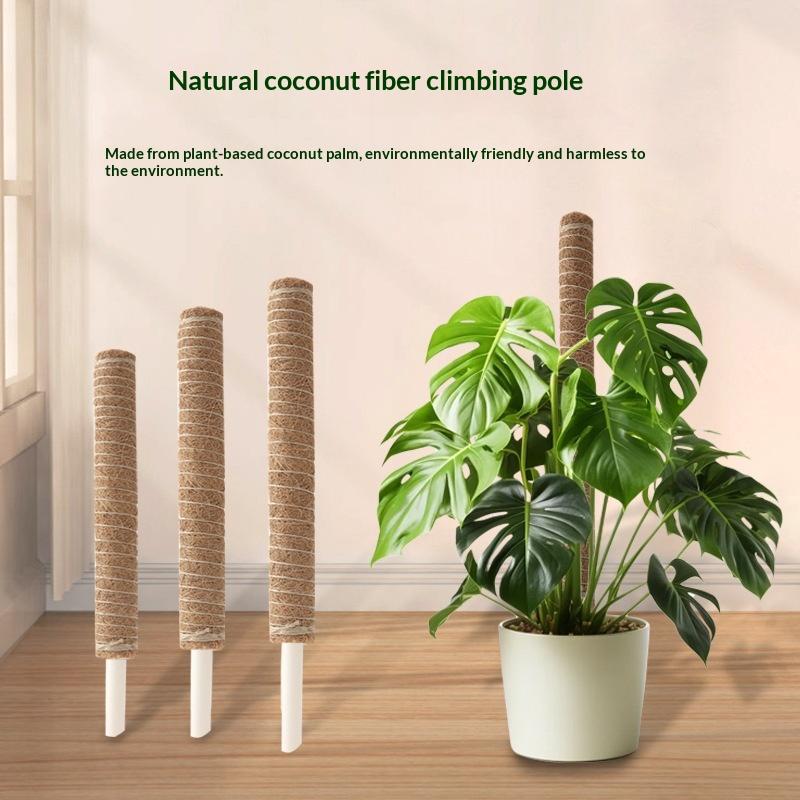 แท่งยึดต้นไม้สำหรับพืชเลื้อย 1 - Vine Climbing Plastic บทวิจารณ์และราคา