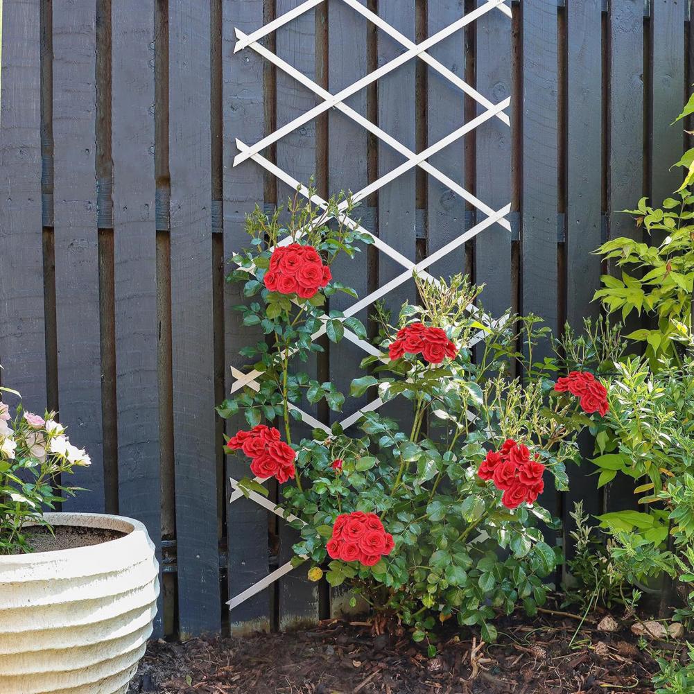 แผงรั้วตาข่ายพลาสติกแบบขยายได้ - Vine Climbing Plastic บทวิจารณ์และราคา