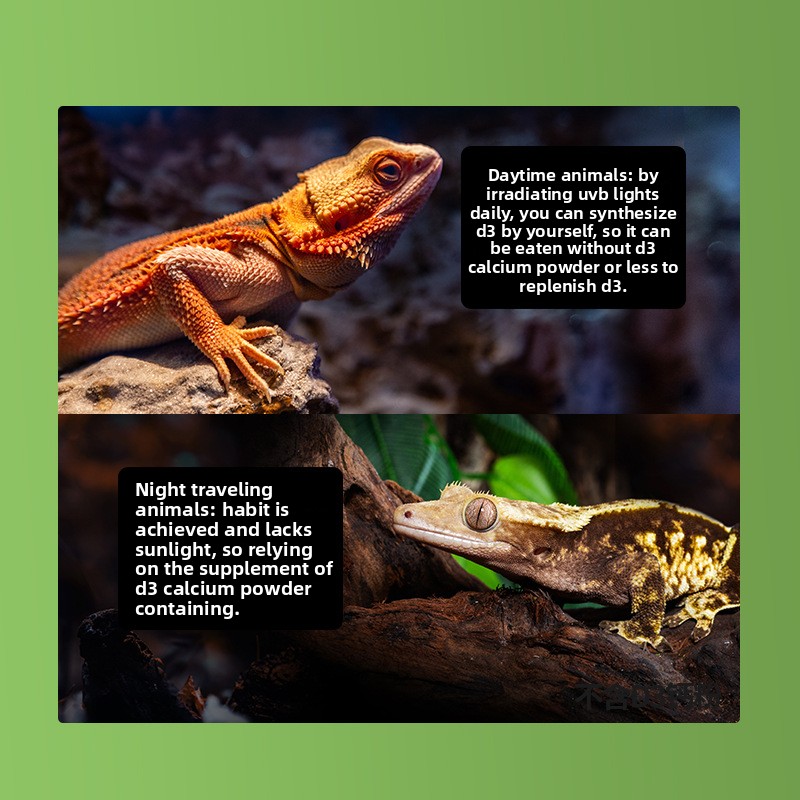 Reptizoo สัตว์เลื้อยคลานแคลเซี - Calcium Powder Reptile บทวิจารณ์และราคา