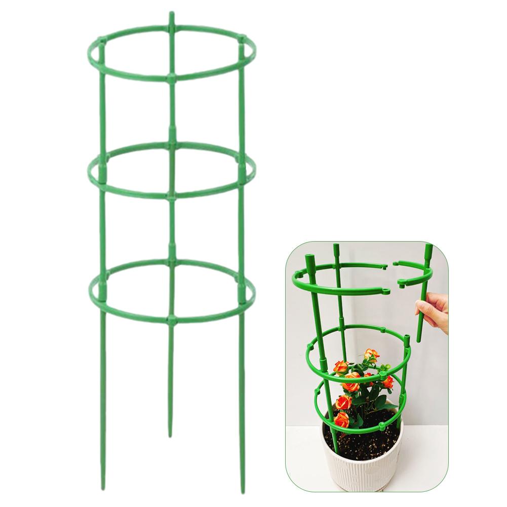 วงแหวนรองรับต้นไม้เลื้อยแบบปรั - Vine Climbing Plastic บทวิจารณ์และราคา