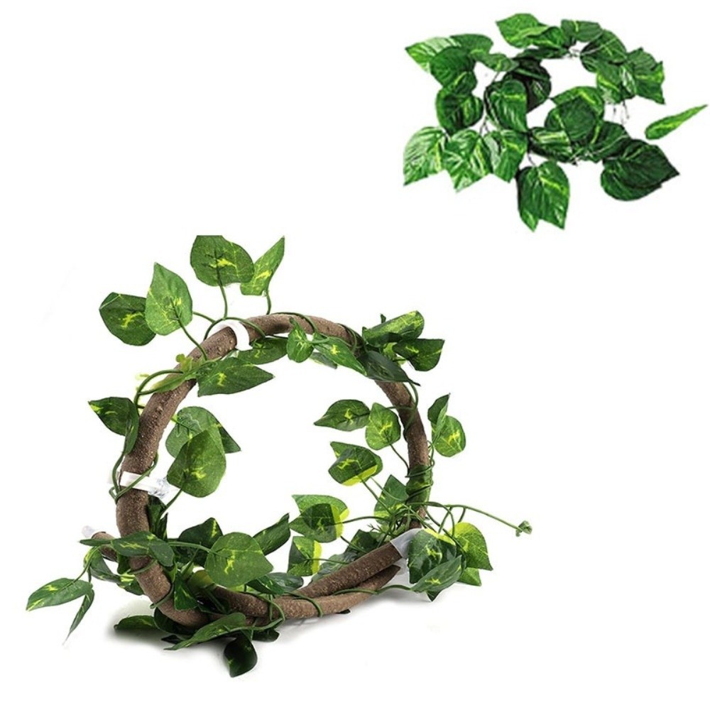 ชุดเถาวัลย์หวายจำลองแบบใหม่ พร - Vine Climbing Plastic บทวิจารณ์และราคา