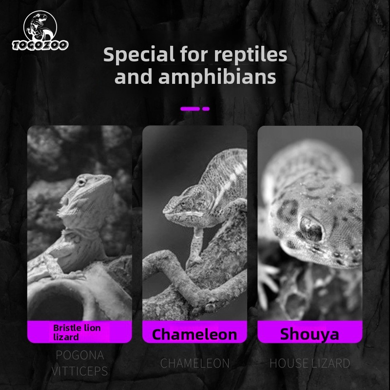 TOGOZOO WILD-VIT สัตว์เลื้อยคล - Calcium Powder Reptile บทวิจารณ์และราคา