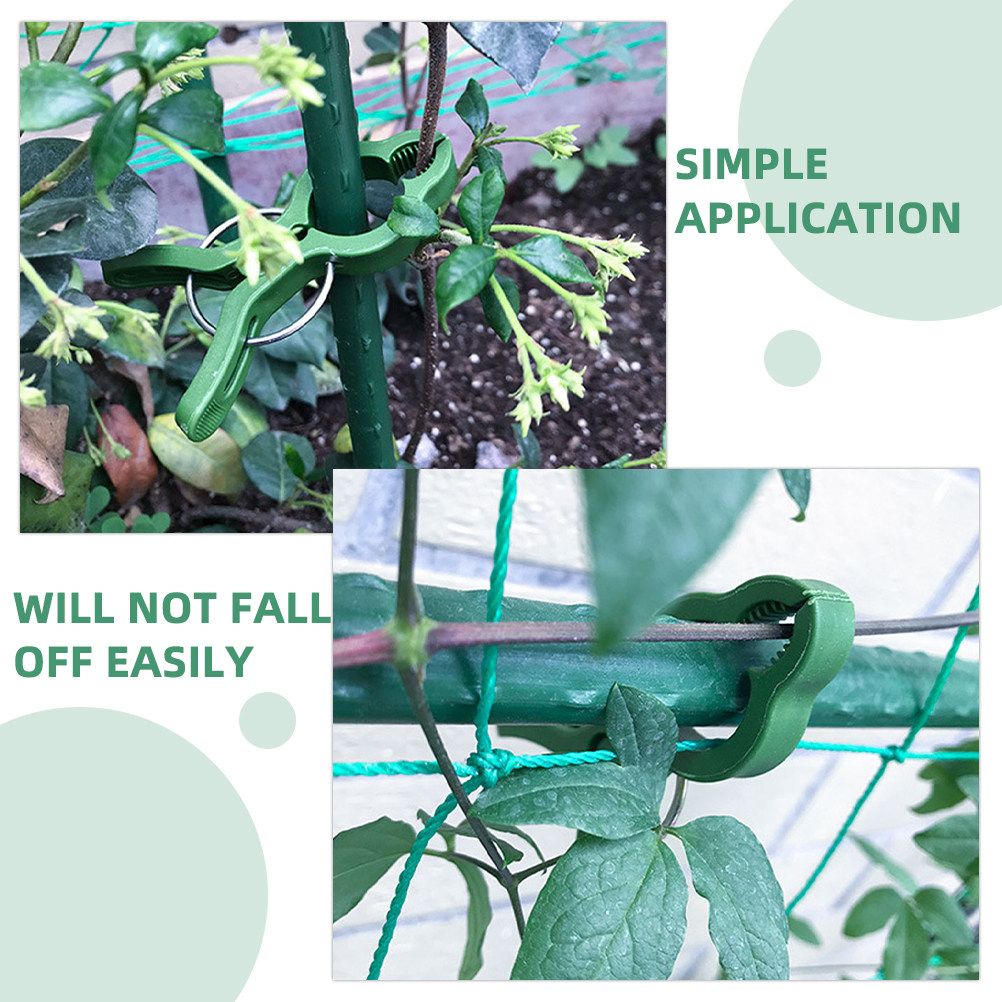 คลิปหนีบต้นไม้ในสวน 60 ชิ้น คล - Vine Climbing Plastic บทวิจารณ์และราคา