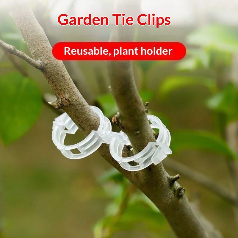 คลิปพลาสติกสำหรับยึดต้นไม้ ใช้ - Vine Climbing Plastic บทวิจารณ์และราคา