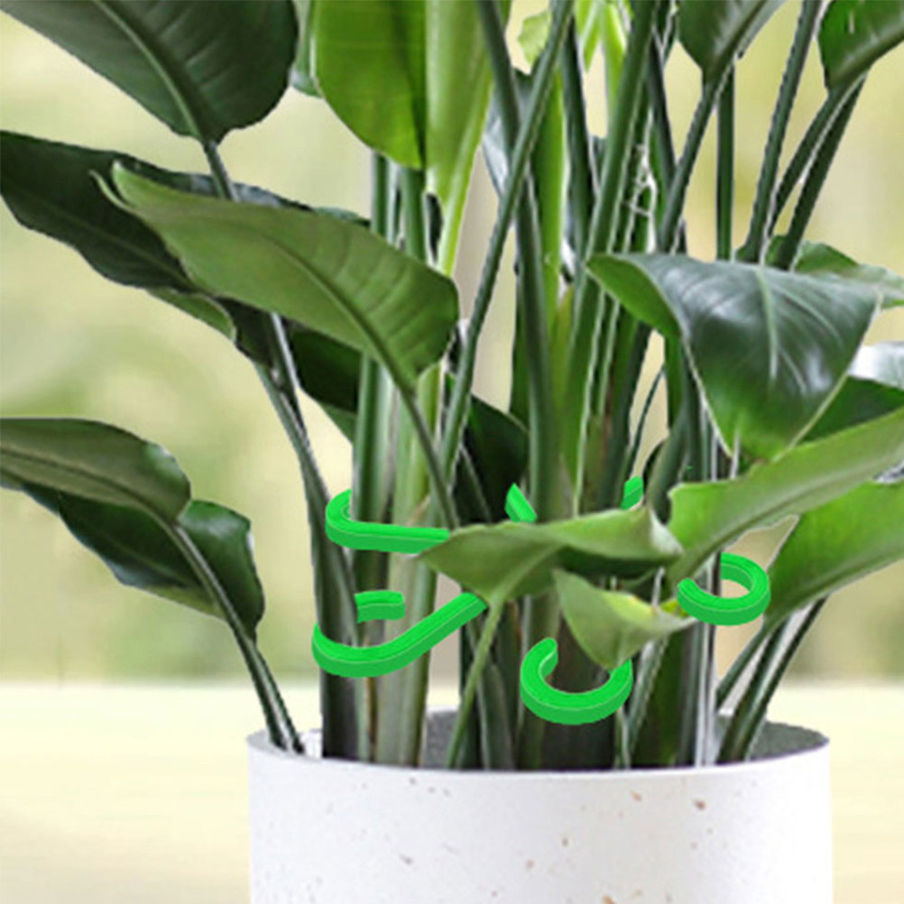 คลิปหนีบต้นไม้ 12 ชิ้น สำหรับพ - Vine Climbing Plastic บทวิจารณ์และราคา