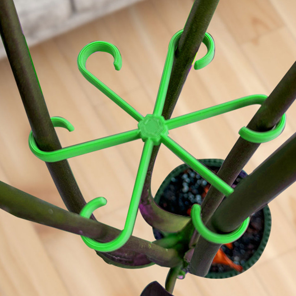 คลิปหนีบต้นไม้ 12 ชิ้น สำหรับพ - Vine Climbing Plastic บทวิจารณ์และราคา