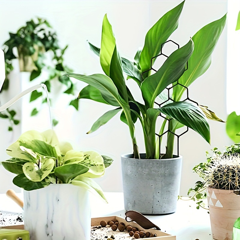 โครงตาข่ายปลูกต้นไม้ลายรังผึ้ง - Vine Climbing Plastic บทวิจารณ์และราคา